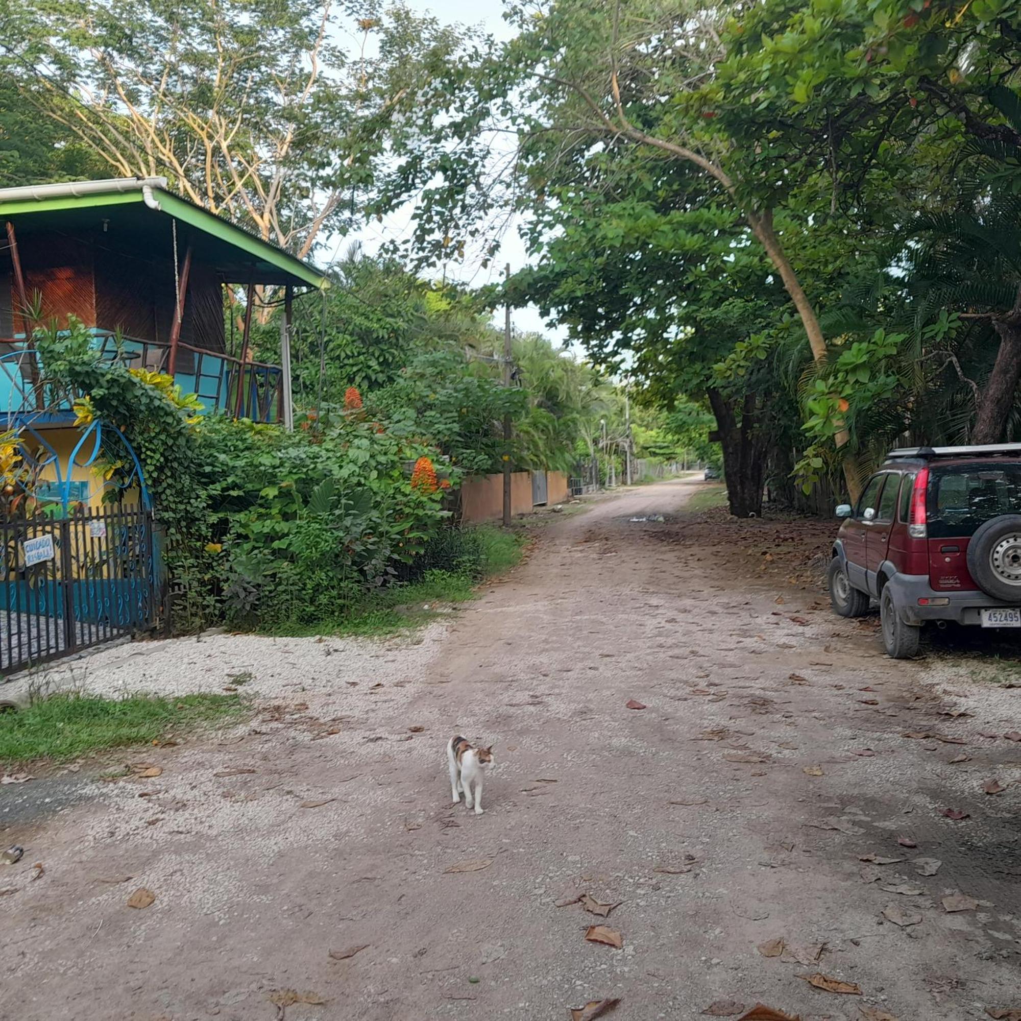 Cabinas Del Mar Sámara Zewnętrze zdjęcie